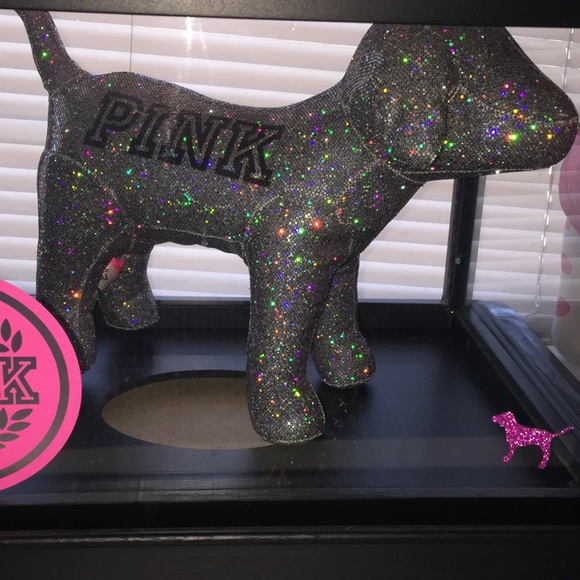 PINK Victoria's Secret Accessories - Do not buy unless it's for you